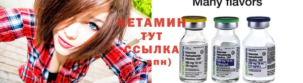 трава Абаза