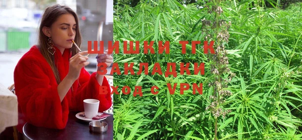 трава Абаза